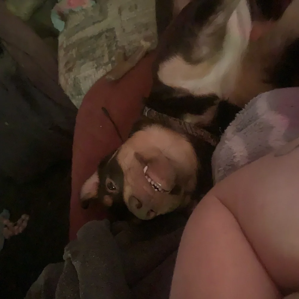 Still here! - Picture 5 of 12